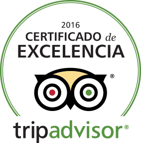 זכייה שלישית בתו המצוינות של TripAdvisor למוזיאון ראלי בסנטיאגו (צ'ילה)