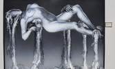 Museo Ralli de Punta Del Este, Arte al Desnudo exposicion 