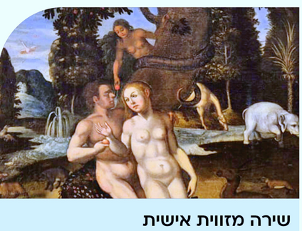 שירה מזווית אישית